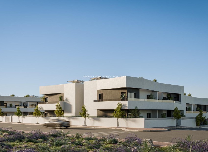 Nouvelle construction - Bungalow - San Miguel de Salinas - Pueblo