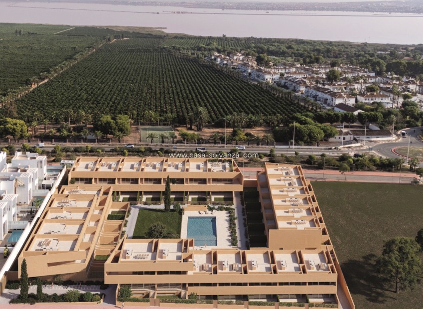 Nouvelle construction - Bungalow - Torrevieja