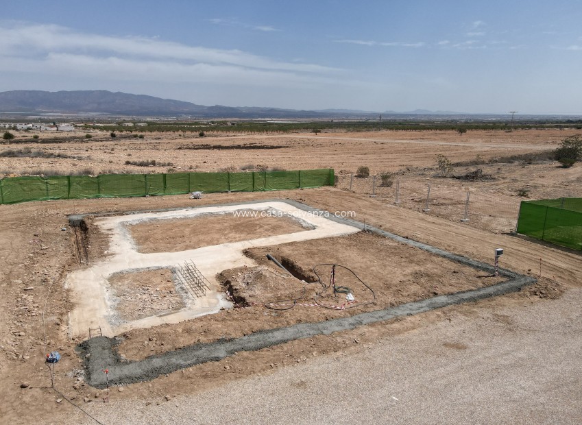 Nouvelle construction - Maison de ville - Fuente Alamo