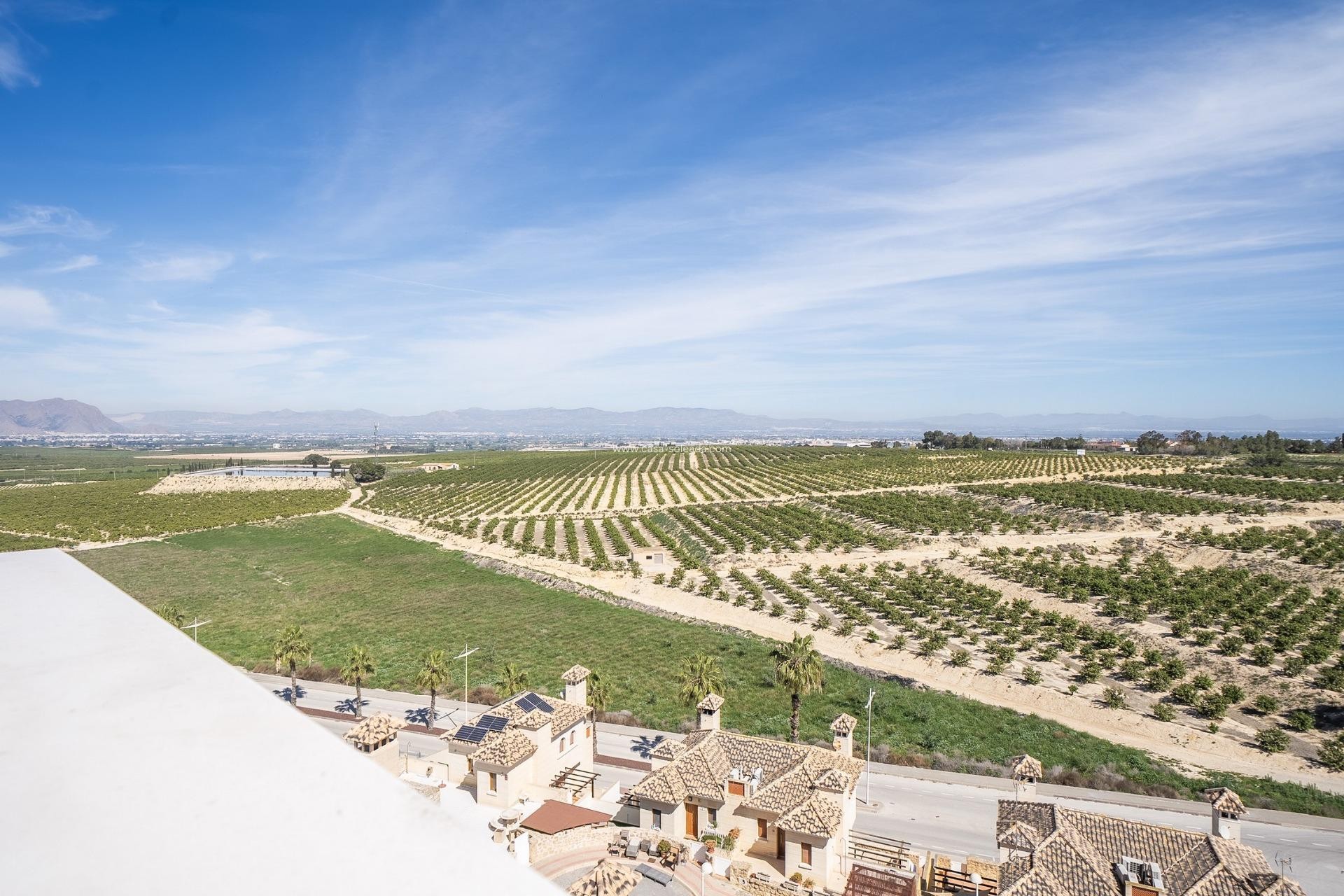 Nouvelle construction - Villa - Algorfa - La Finca Golf Resort