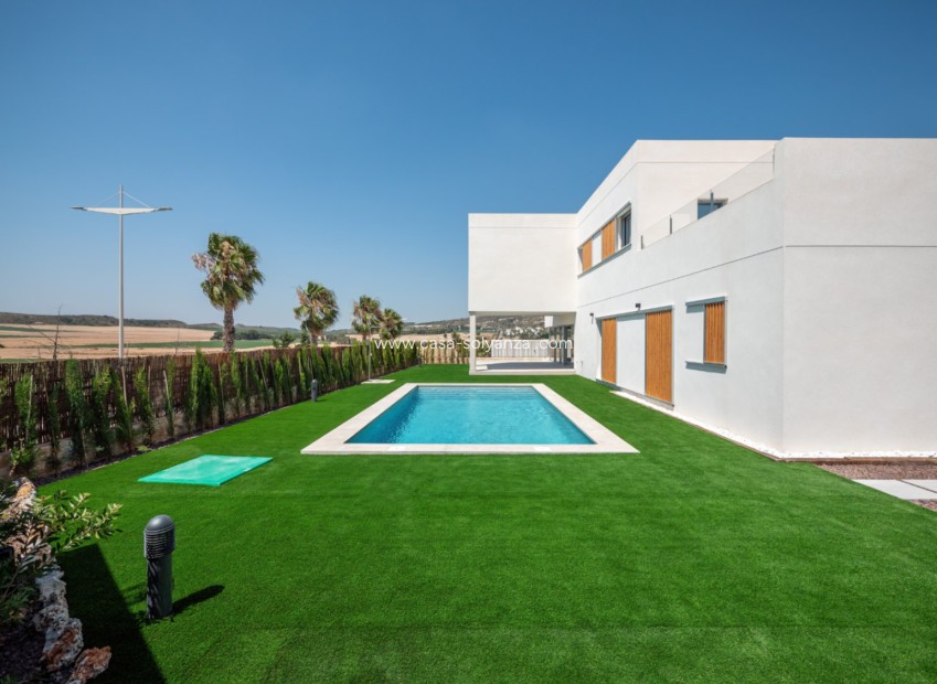 Nouvelle construction - Villa - Algorfa - La finca