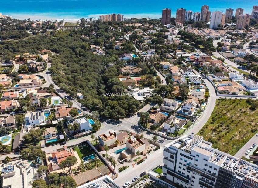 Nouvelle construction - Villa - Orihuela Costa - Dehesa De Campoamor