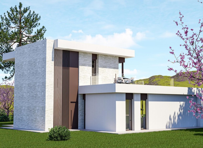 Nouvelle construction - Villa - Pinoso - Lel