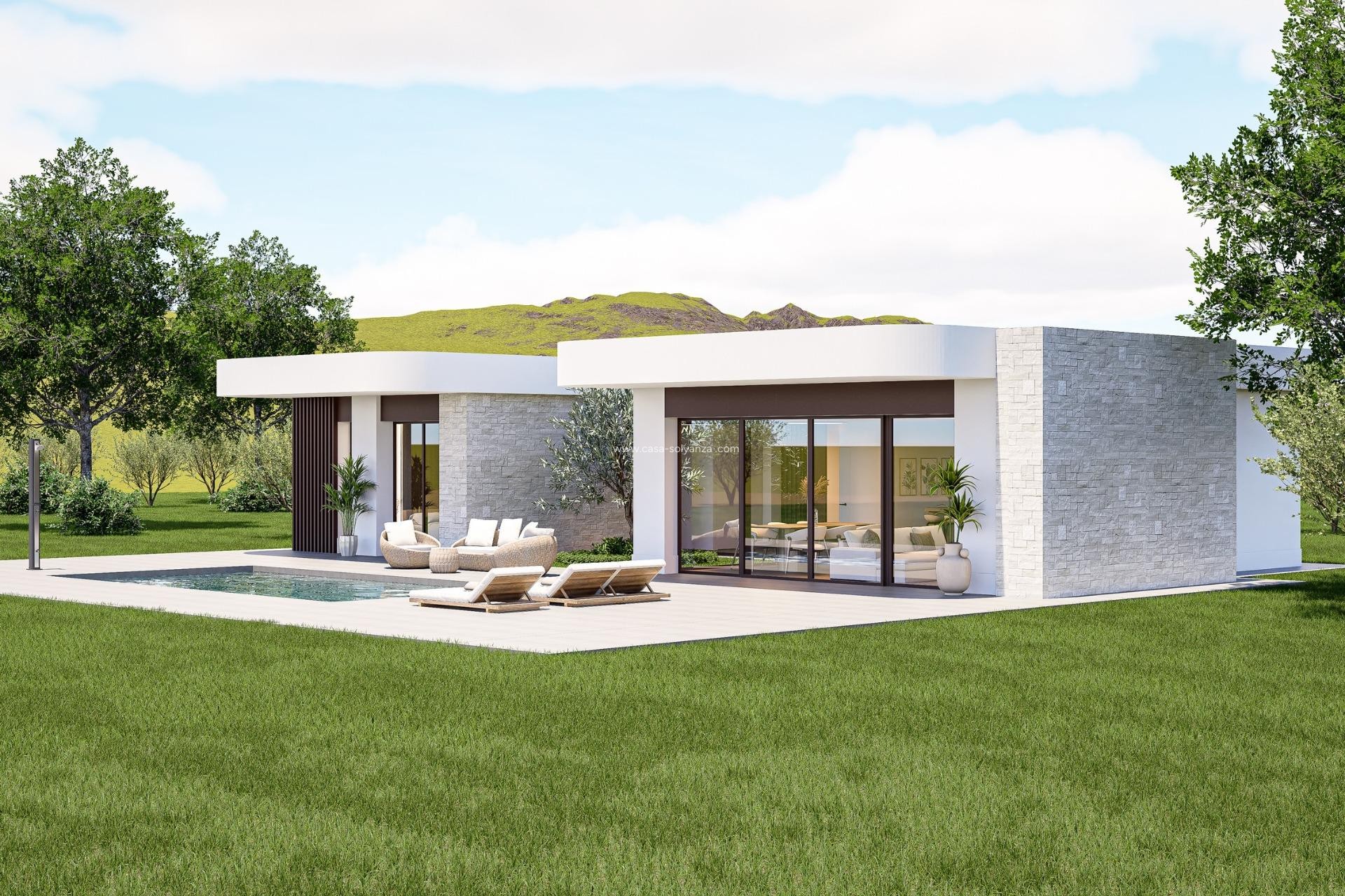 Nouvelle construction - Villa - Pinoso - Lel