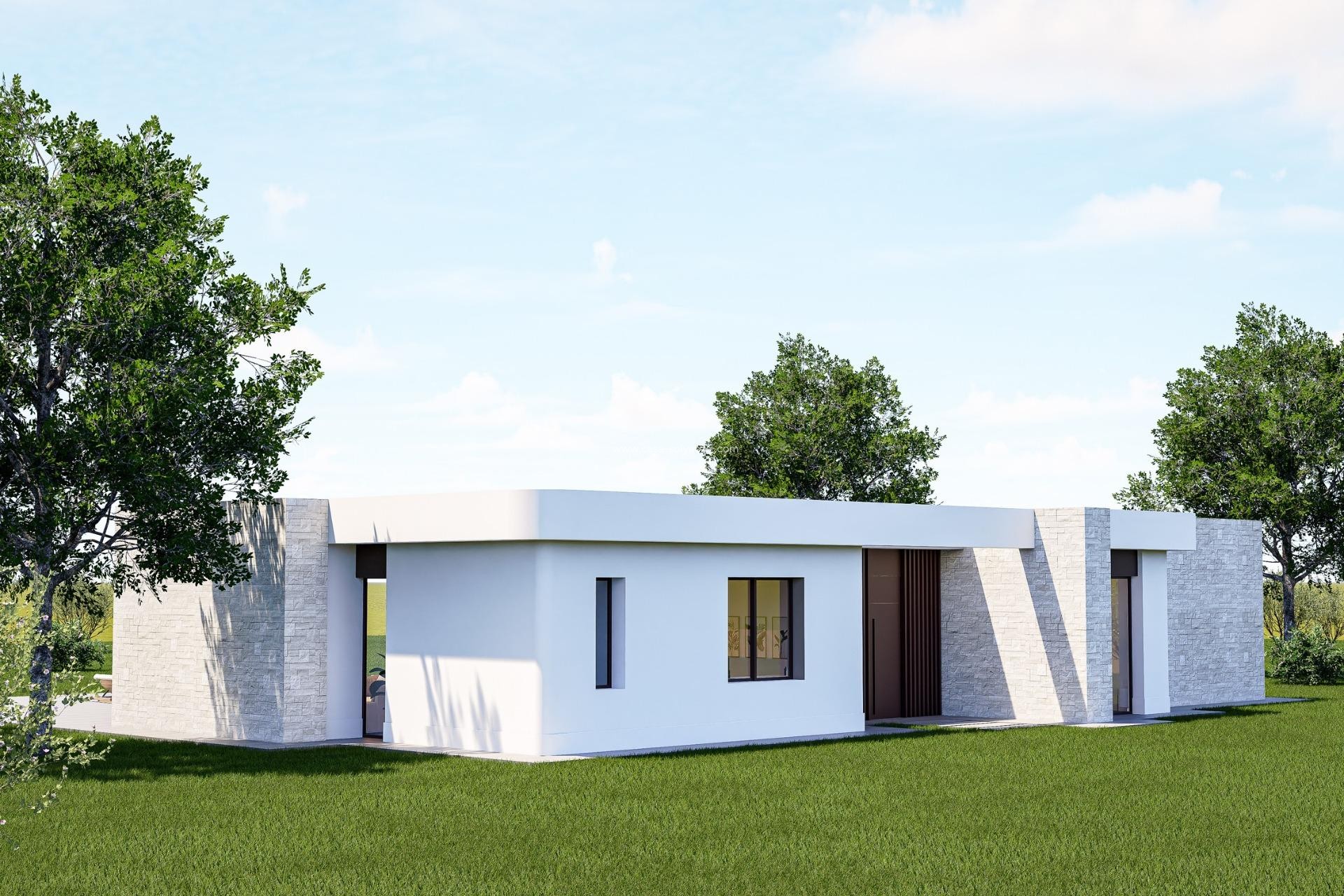 Nouvelle construction - Villa - Pinoso - Lel