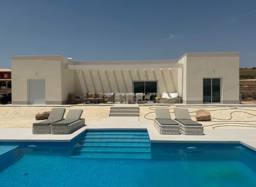 Nouvelle construction - Villa - Pinoso - Rodriguillo