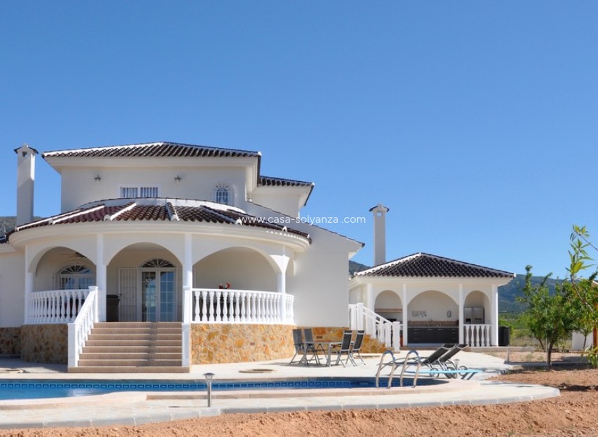 Nouvelle construction - Villa - Pinoso