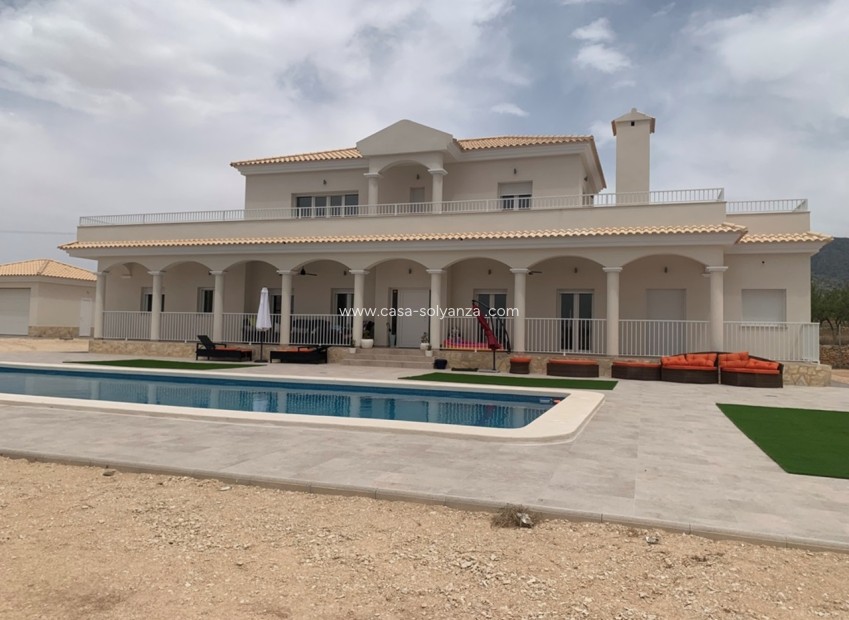Nouvelle construction - Villa - Pinoso