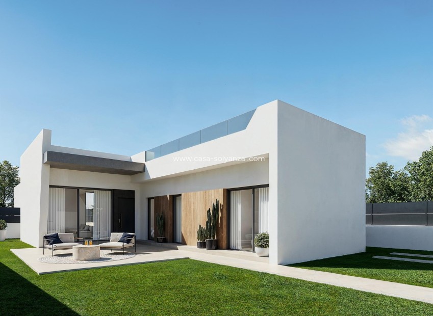 Nouvelle construction - Villa - San Miguel de Salinas