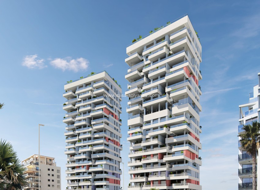 Obra nueva - Apartamento / piso - Calpe