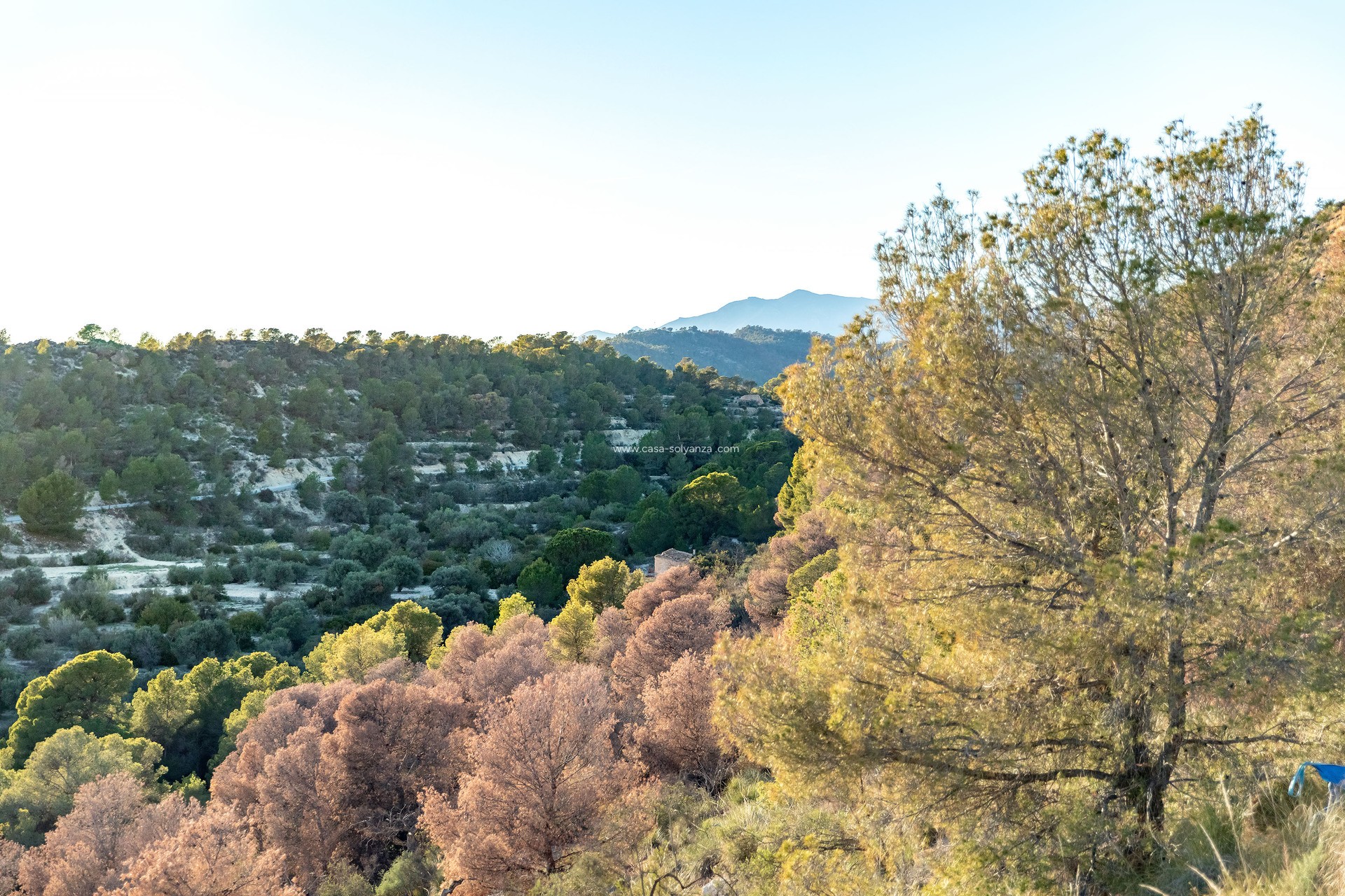 Obra nueva - Apartamento / piso - Finestrat
