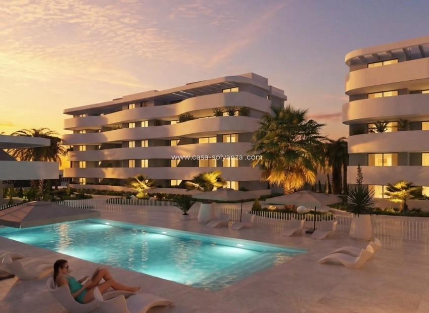 Obra nueva - Apartamento / piso - Guardamar del Segura - El Raso
