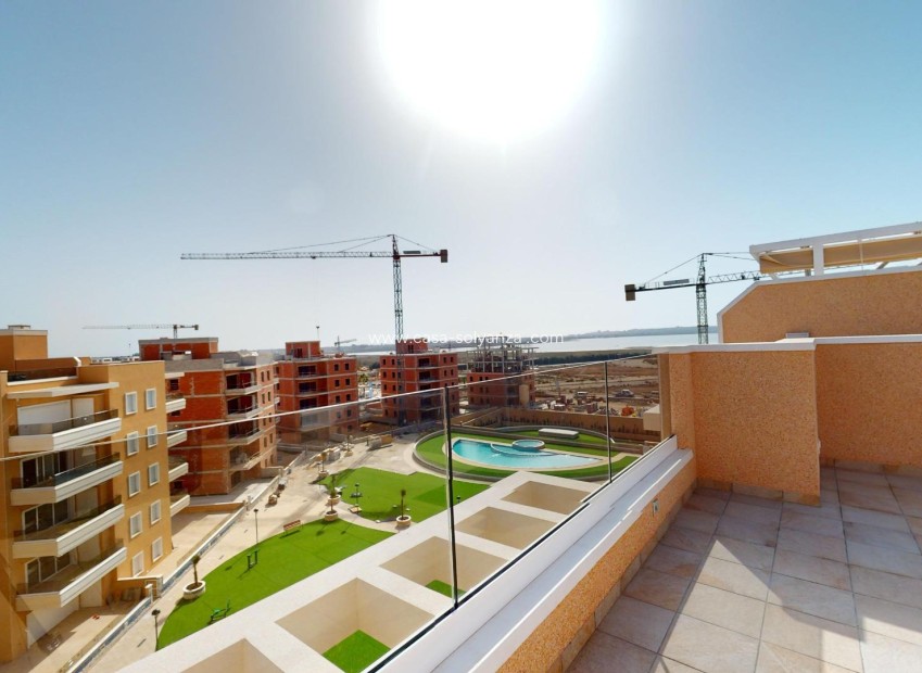 Obra nueva - Apartamento / piso - Guardamar del Segura - El Raso