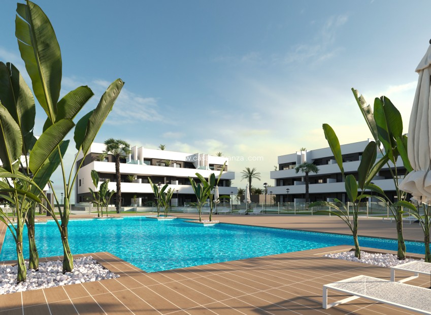 Obra nueva - Apartamento / piso - Guardamar del Segura