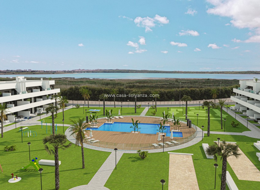 Obra nueva - Apartamento / piso - Guardamar del Segura