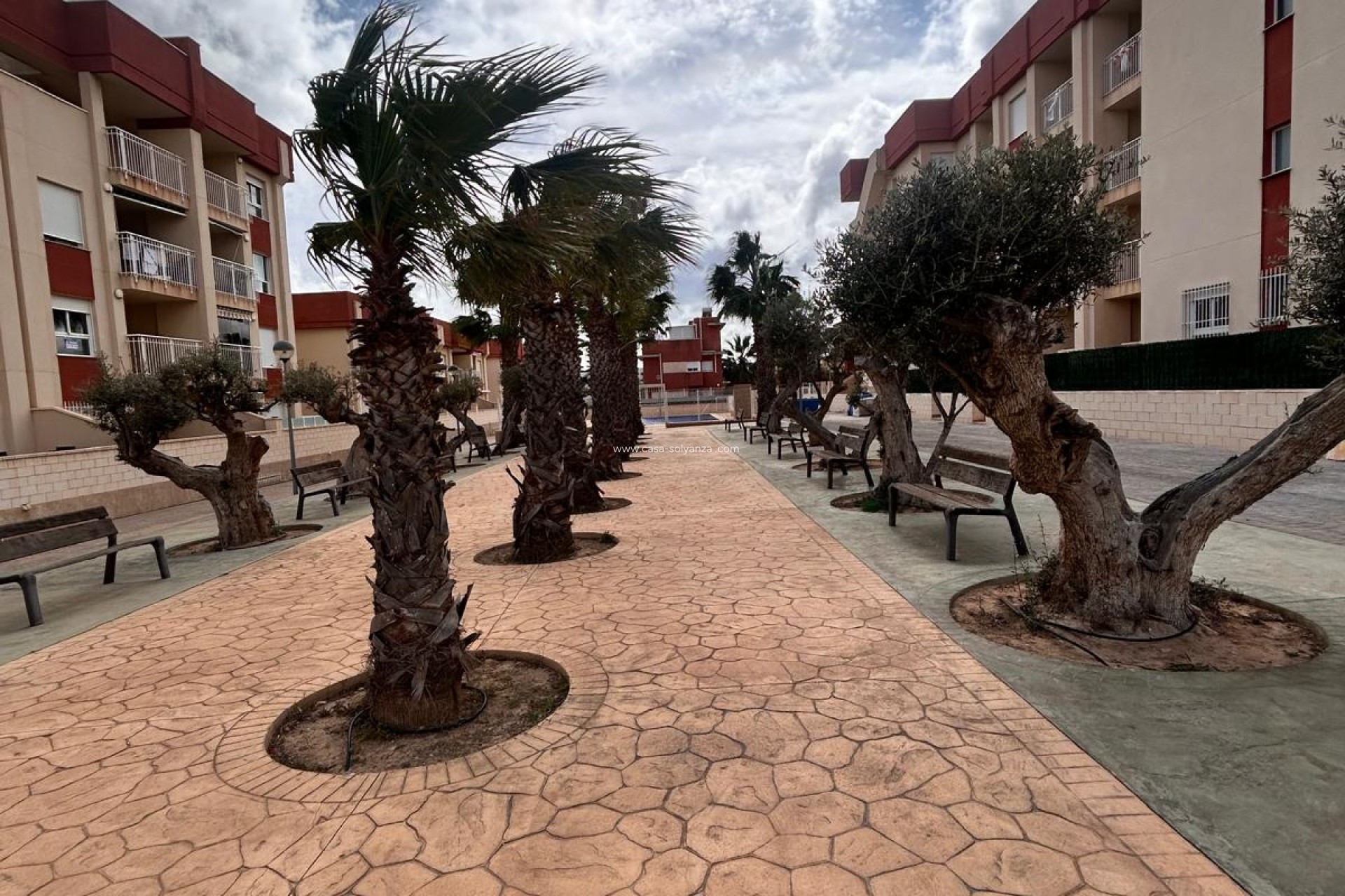 Obra nueva - Apartamento / piso - Orihuela Costa