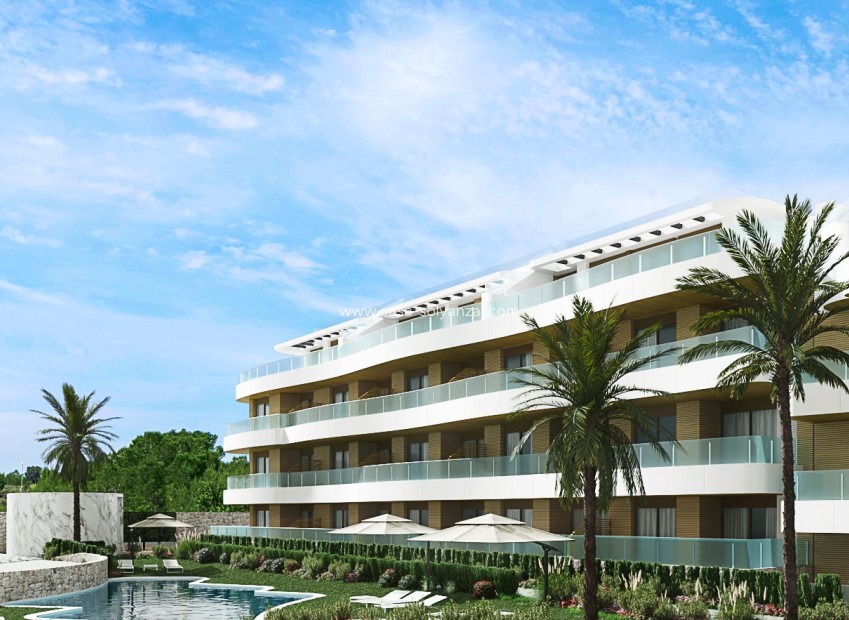 Obra nueva - Apartamento / piso - Playa Flamenca