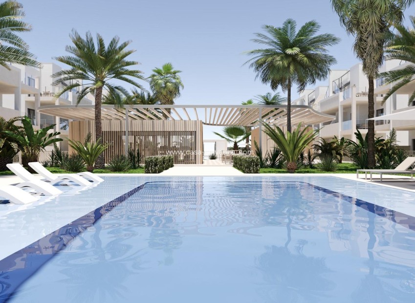 Obra nueva - Apartamento / piso - Torre Pacheco - San Cayetano