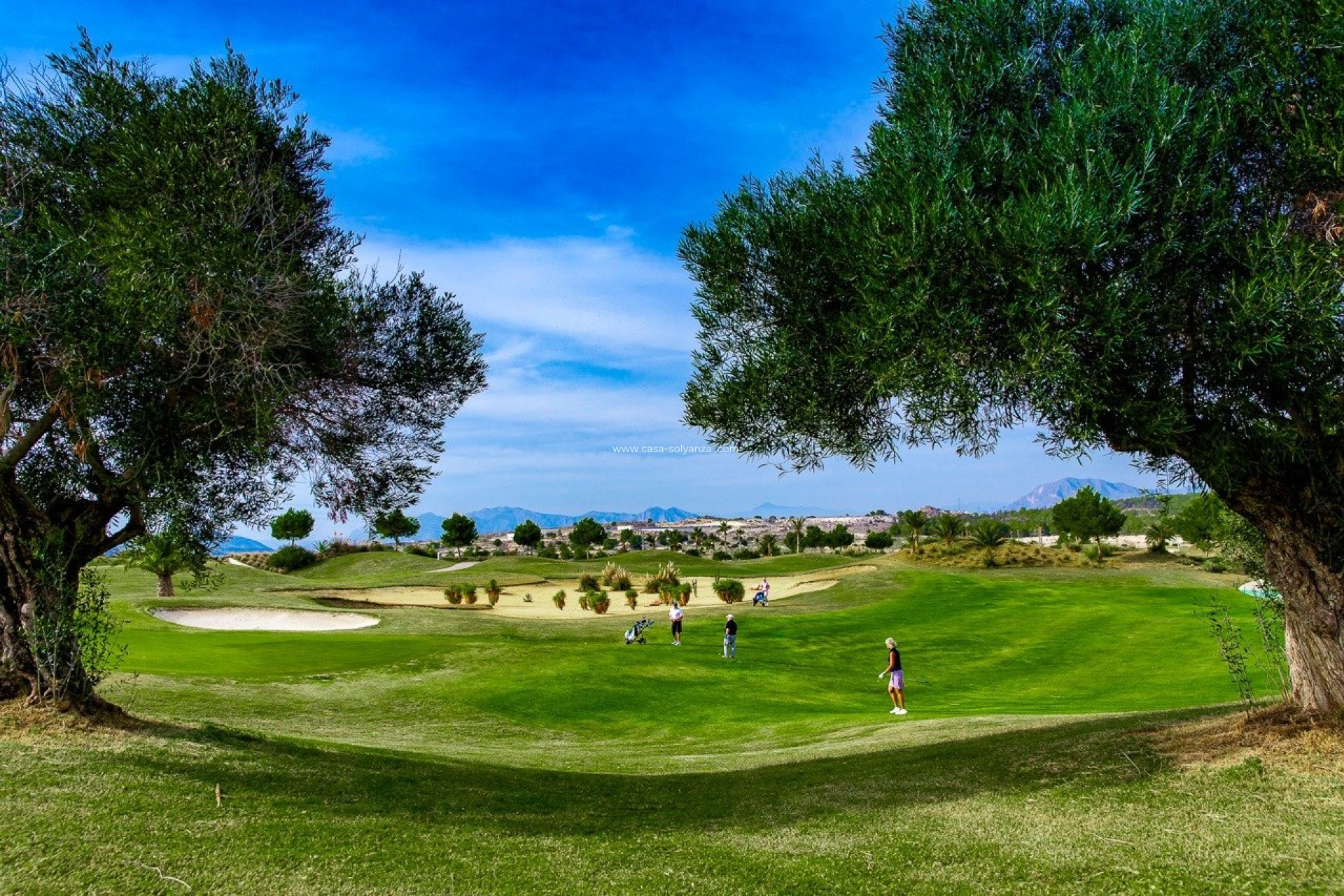 Obra nueva - Bungalow - Orihuela - Vistabella Golf