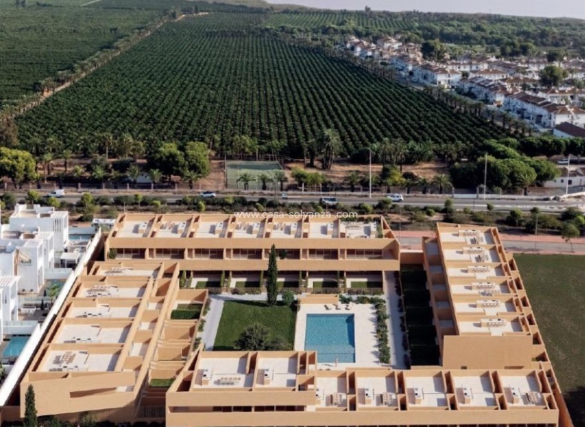 Obra nueva - Bungalow - Torrevieja - Los Balcones