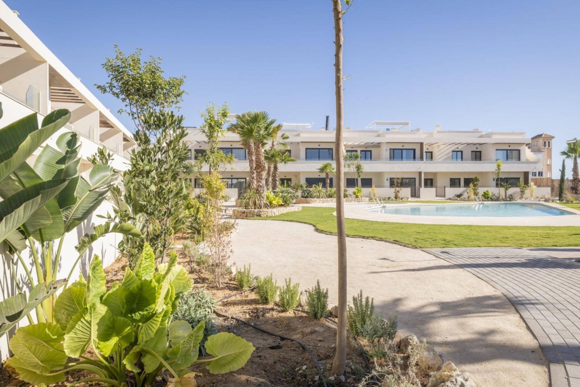 Obra nueva - Bungalow - Torrevieja - Villa Amalia