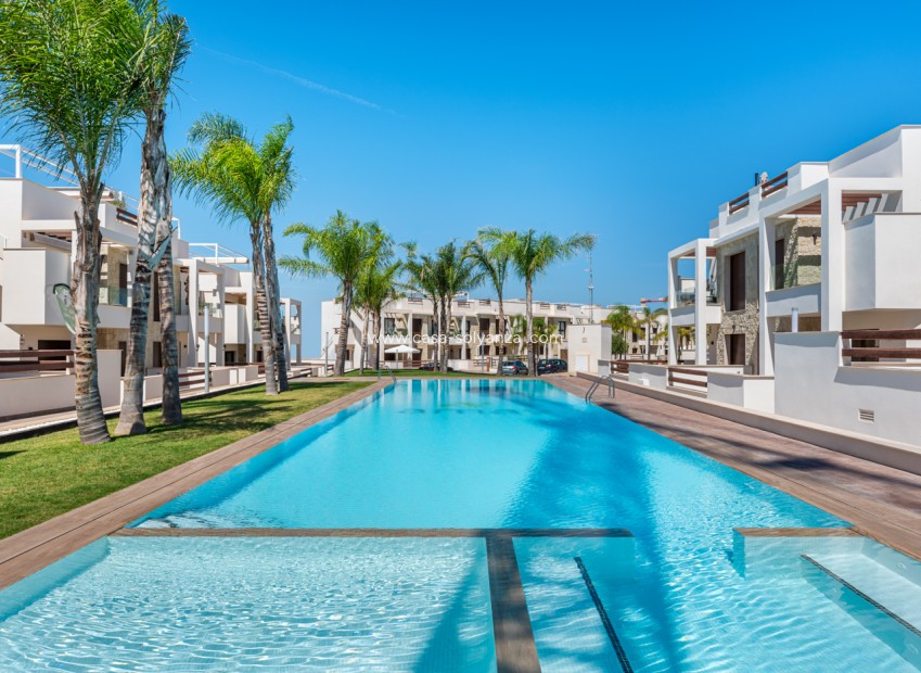 Obra nueva - Bungalow - Torrevieja