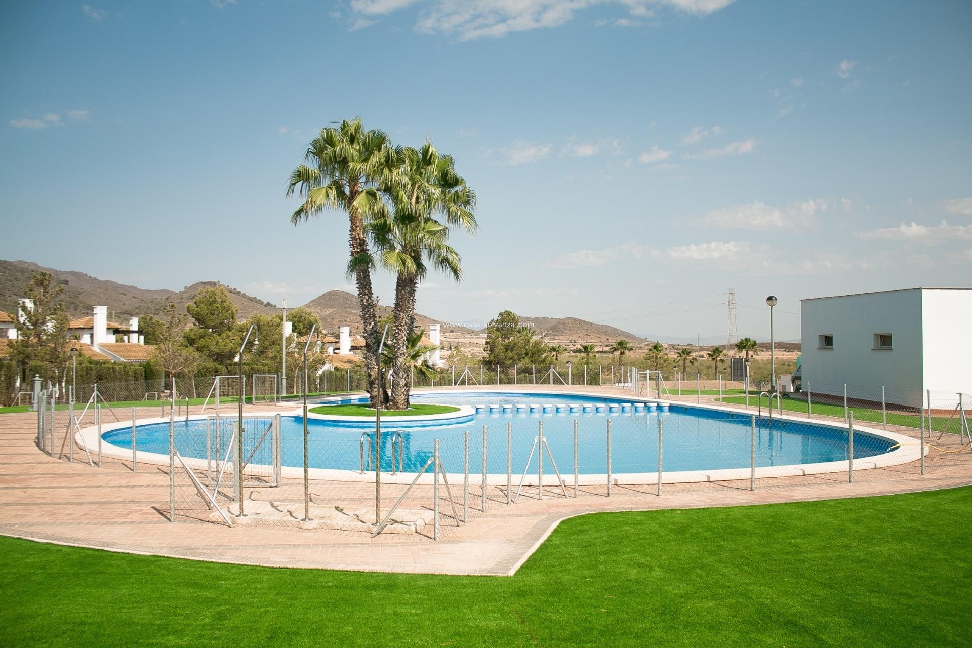 Obra nueva - Villa - Fuente Alamo - Las Palas