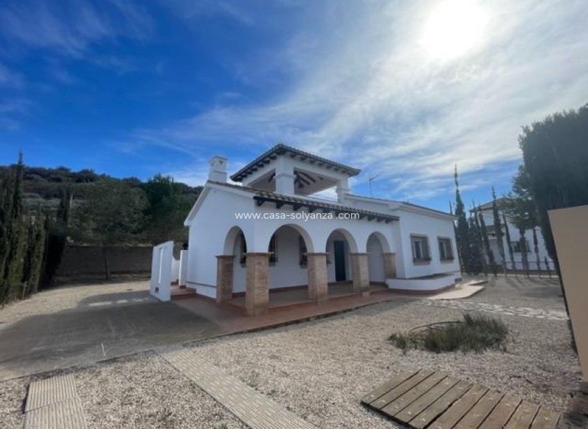 Obra nueva - Villa - Fuente Alamo - Las Palas