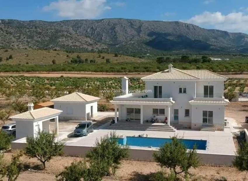 Obra nueva - Villa - Pinoso - Camino Del Prado