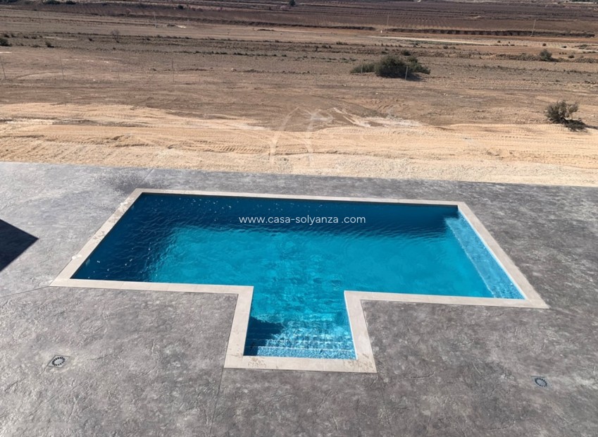 Obra nueva - Villa - Pinoso