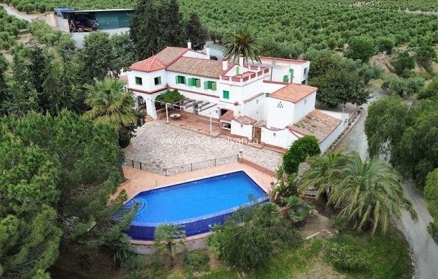 Olivar - Resale - Puerto Lumbreras - Nogalte
