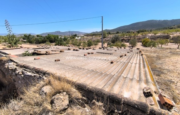 Other - Revente - Chinorlet - Inland