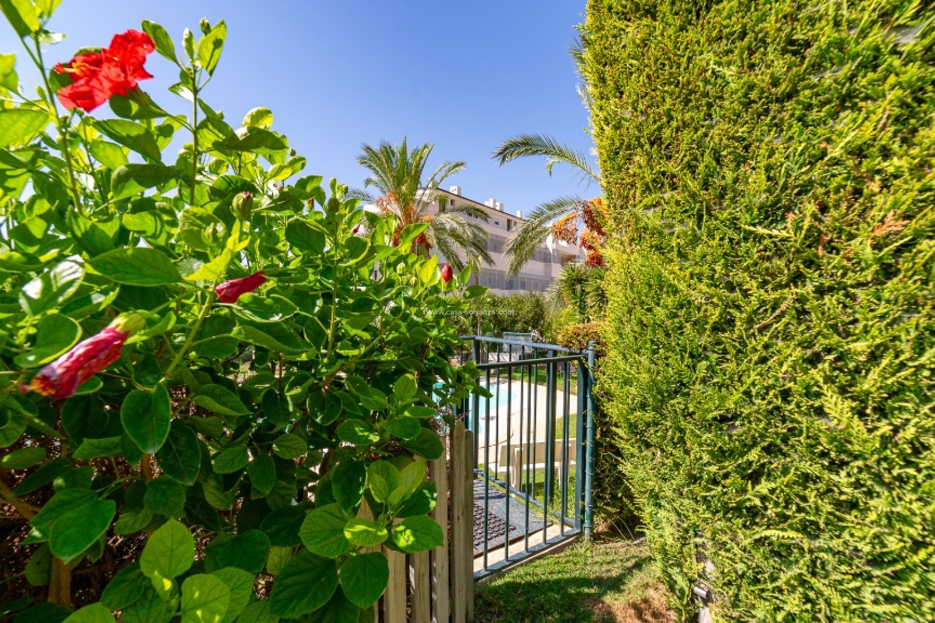 Resale - Adosado - Benidorm - Finestrat