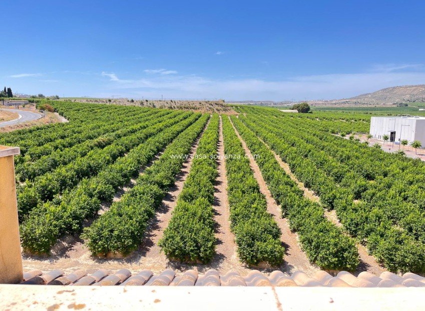 Resale - Apartment / flat - Algorfa - Pueblo