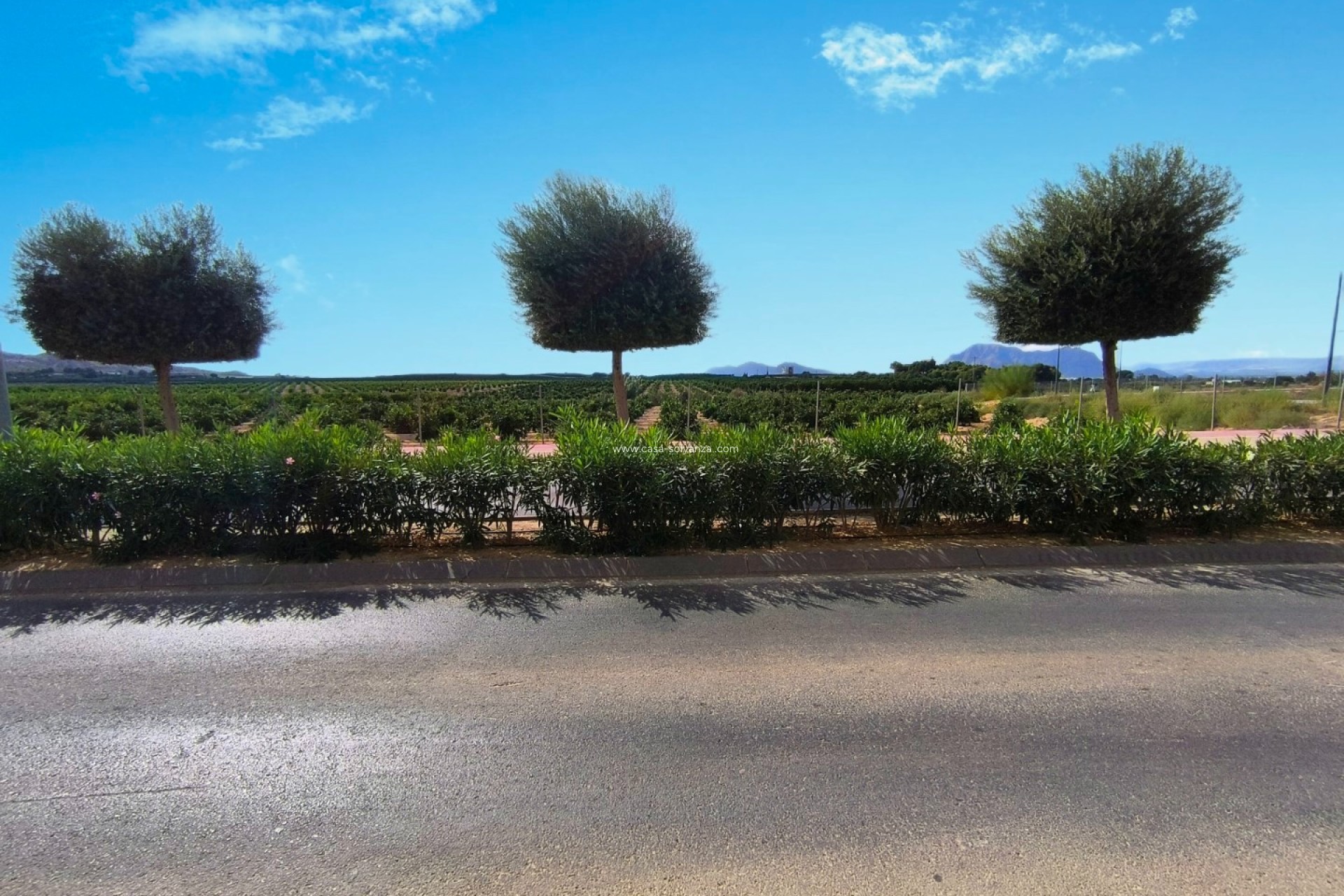 Resale - Apartment / flat - Algorfa