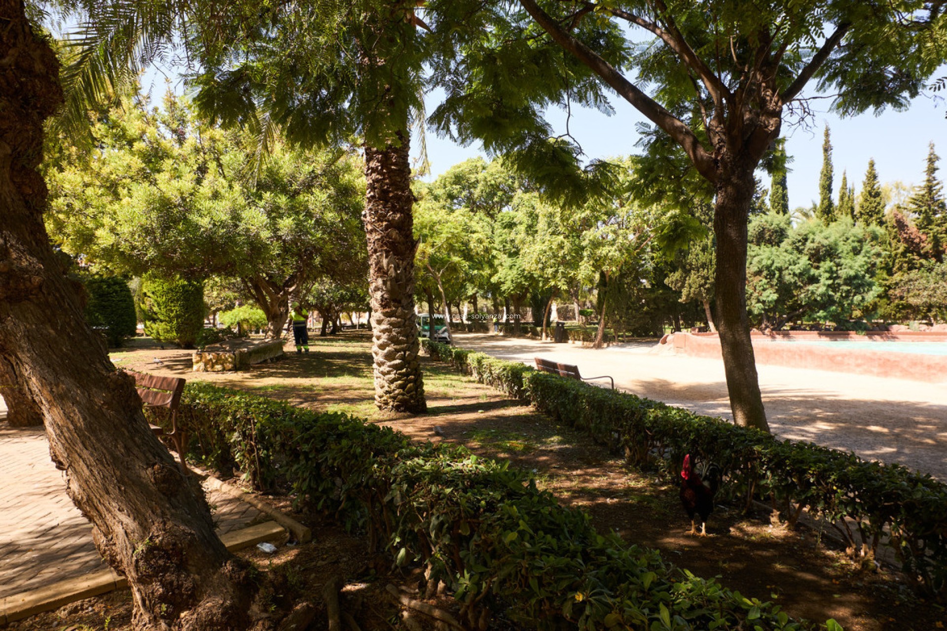 Resale - Apartment / flat - Alicante City - Parque de las Naciones