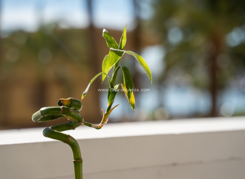 Resale - Apartment / flat - Alicante - Costa Blanca