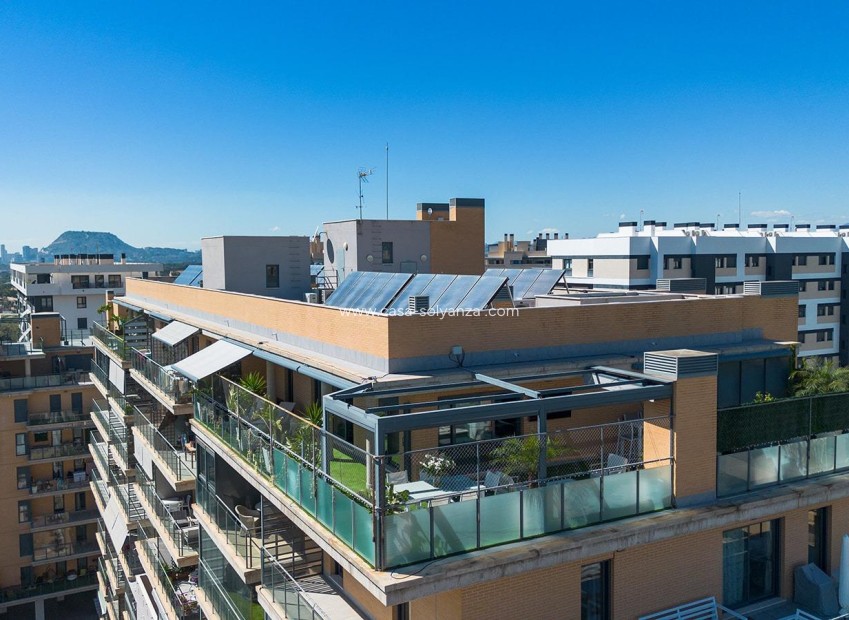 Resale - Apartment / flat - Alicante - Pau 5