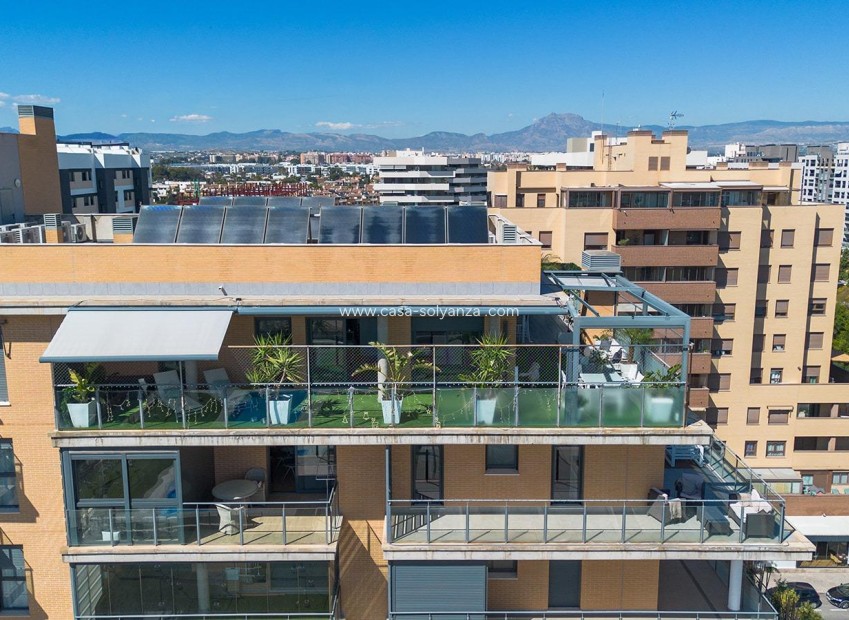 Resale - Apartment / flat - Alicante - Pau 5