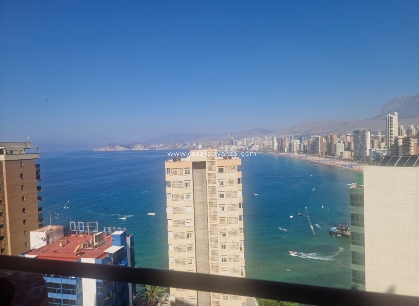 Resale - Apartment / flat - Benidorm - Costa Blanca