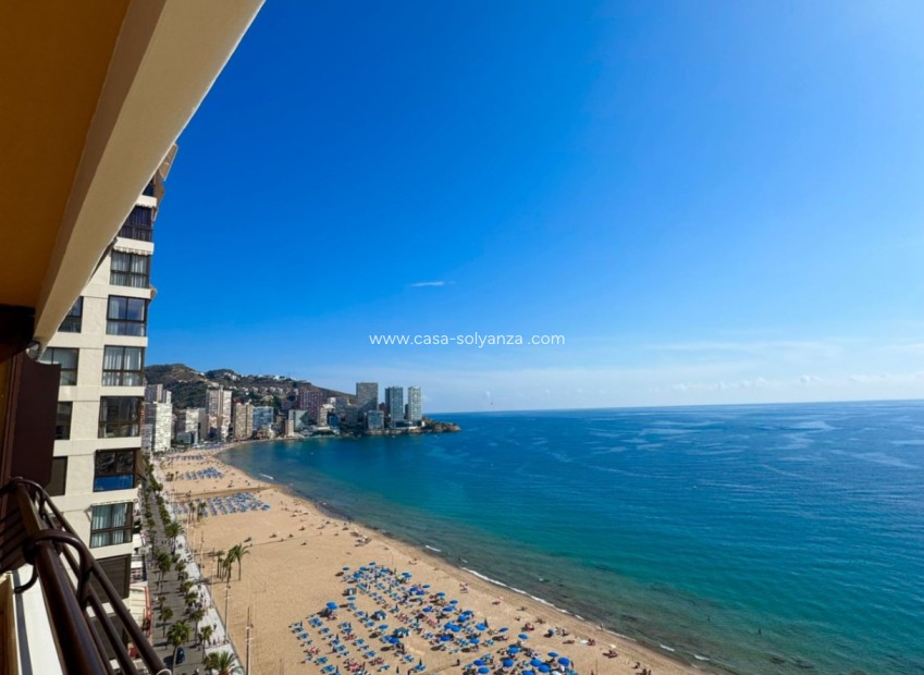 Resale - Apartment / flat - Benidorm - Costa Blanca
