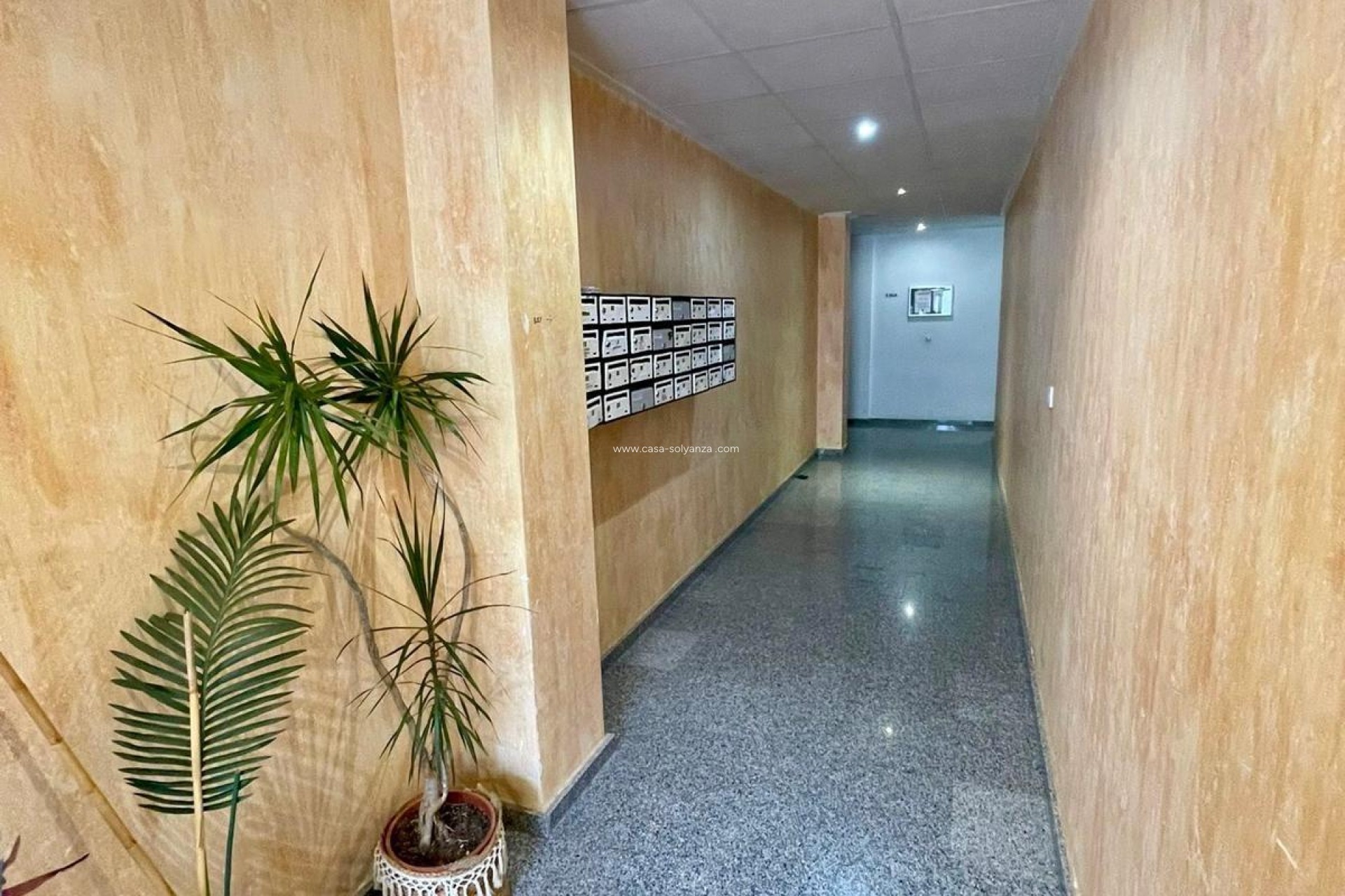Resale - Apartment / flat - Benijofar - Costa Blanca