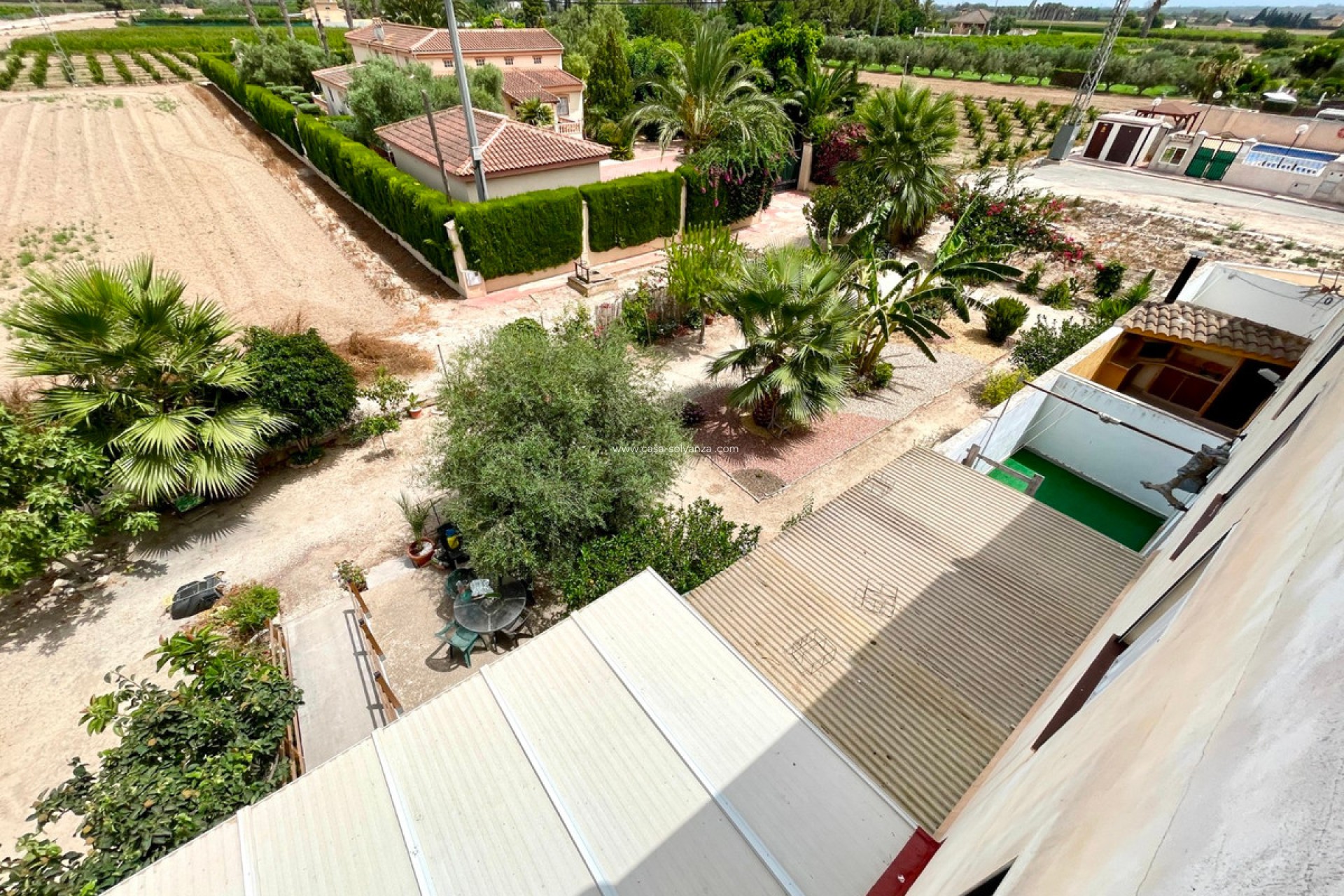 Resale - Apartment / flat - Daya Nueva - Daya Nueva Centro