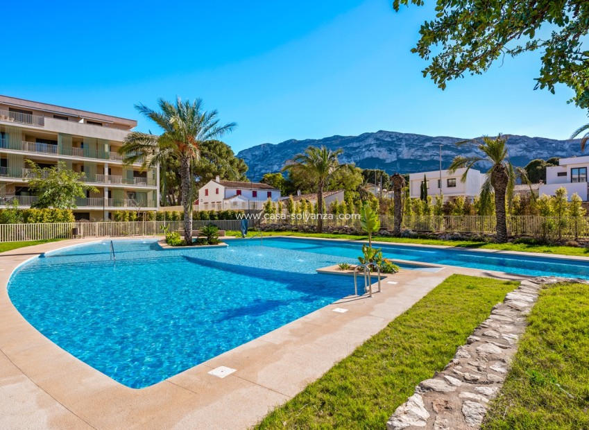 Resale - Apartment / flat - Denia - Puerto