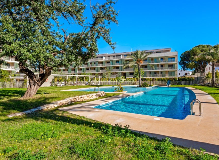 Resale - Apartment / flat - Denia - Puerto