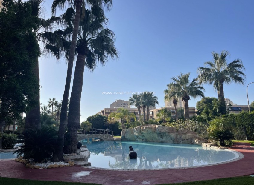 Resale - Apartment / flat - El Campello - Costa Blanca