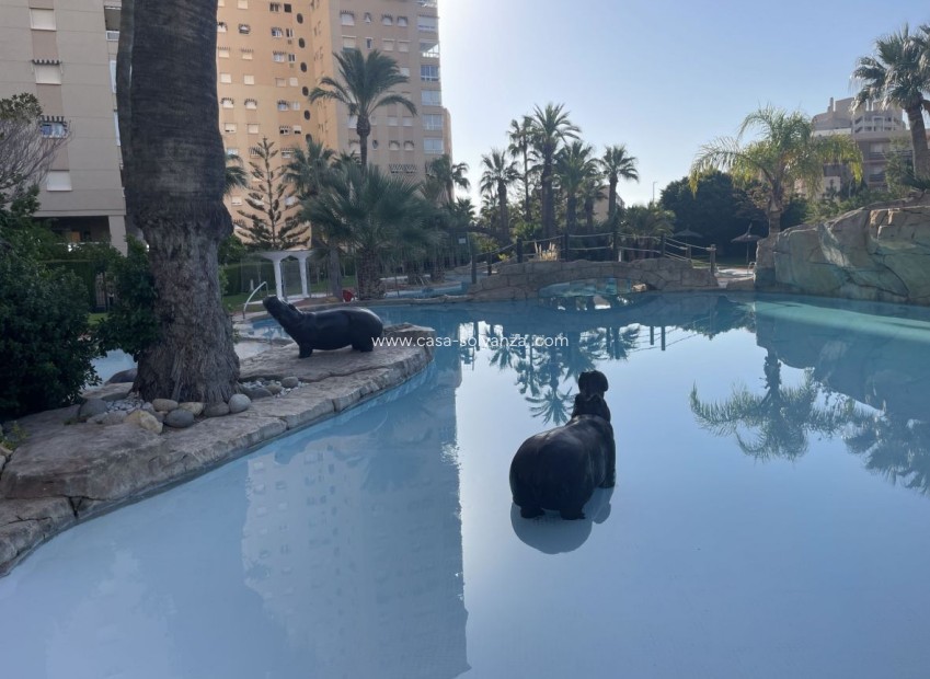 Resale - Apartment / flat - El Campello - Costa Blanca
