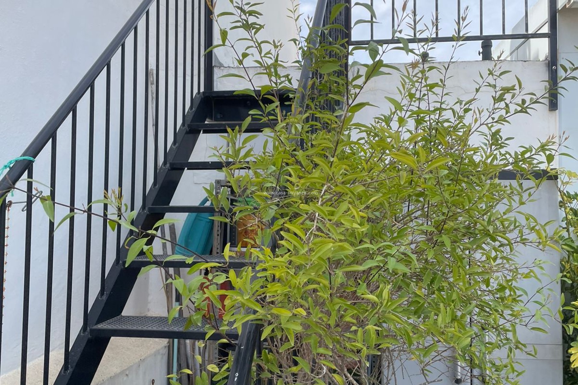 Resale - Apartment / flat - Guardamar del Segura - 0