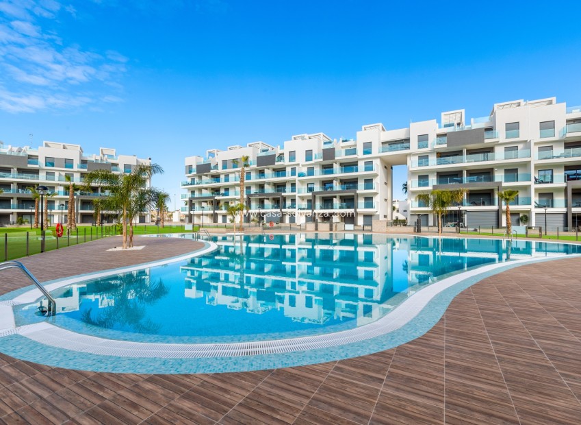 Resale - Apartment / flat - Guardamar del Segura - Costa Blanca