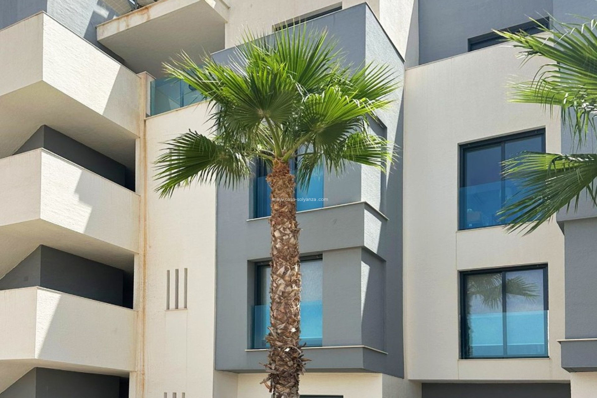 Resale - Apartment / flat - Guardamar del Segura - Costa Blanca